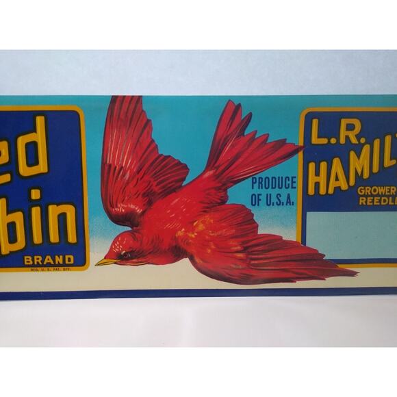 Red Robin Brand Fruit Crate Label 1950's Original Flying Bird Artwork Vintage - Picture 4 of 4